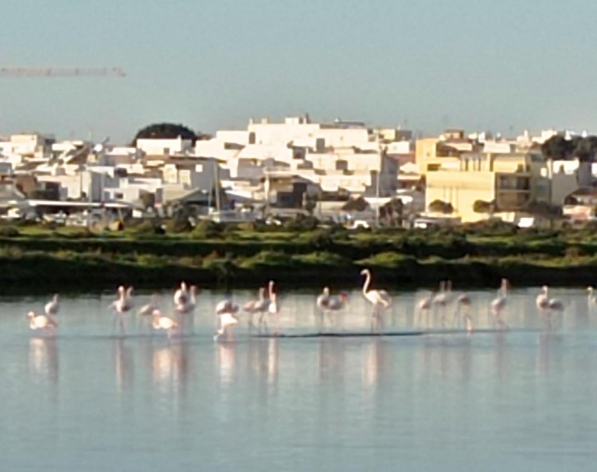 Casa Do Livramento Hotel Luz de Tavira Bagian luar foto